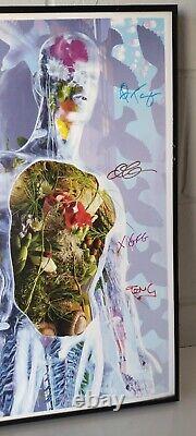 Belly Dove Album O2 London Tour Poster Framed & Signed By Band Tanya Donelly