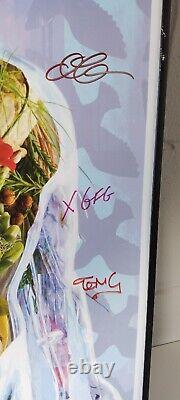 Belly Dove Album O2 London Tour Poster Framed & Signed By Band Tanya Donelly