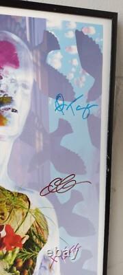 Belly Dove Album O2 London Tour Poster Framed & Signed By Band Tanya Donelly