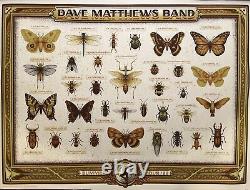 Dave Matthews Band Very Rare 2022 Summer Tour Ap Autograph Poster #8/125