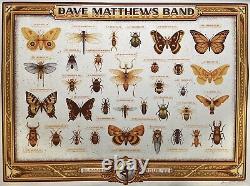 Dave Matthews Band Very Rare 2022 Summer Tour Ap Autograph Poster Blue #3/3